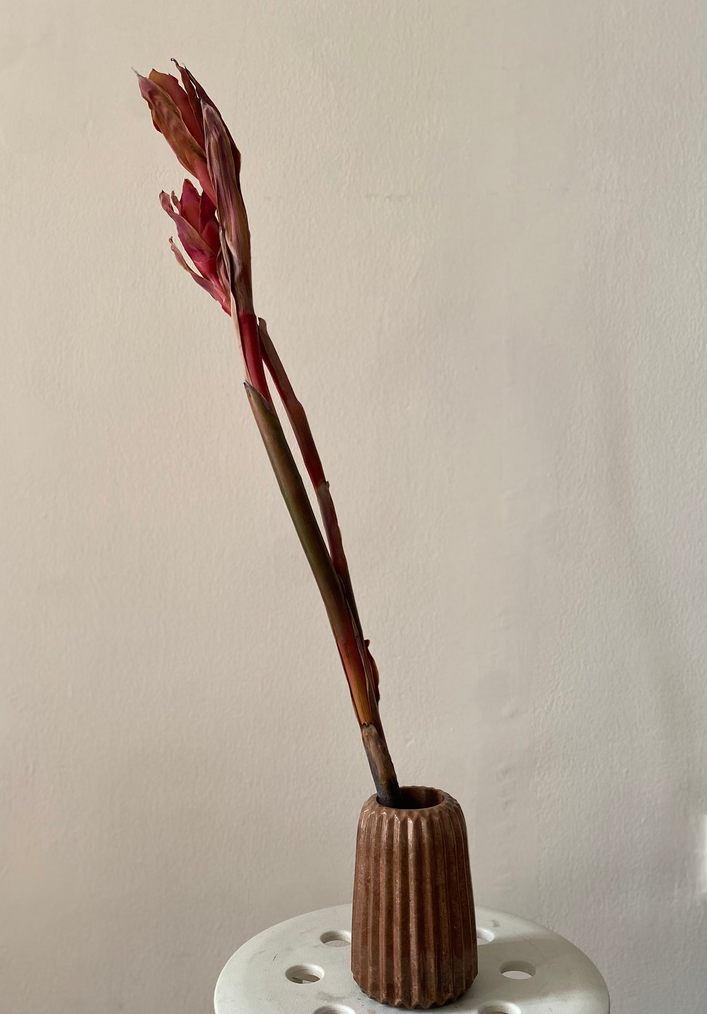 Ribbed Vases