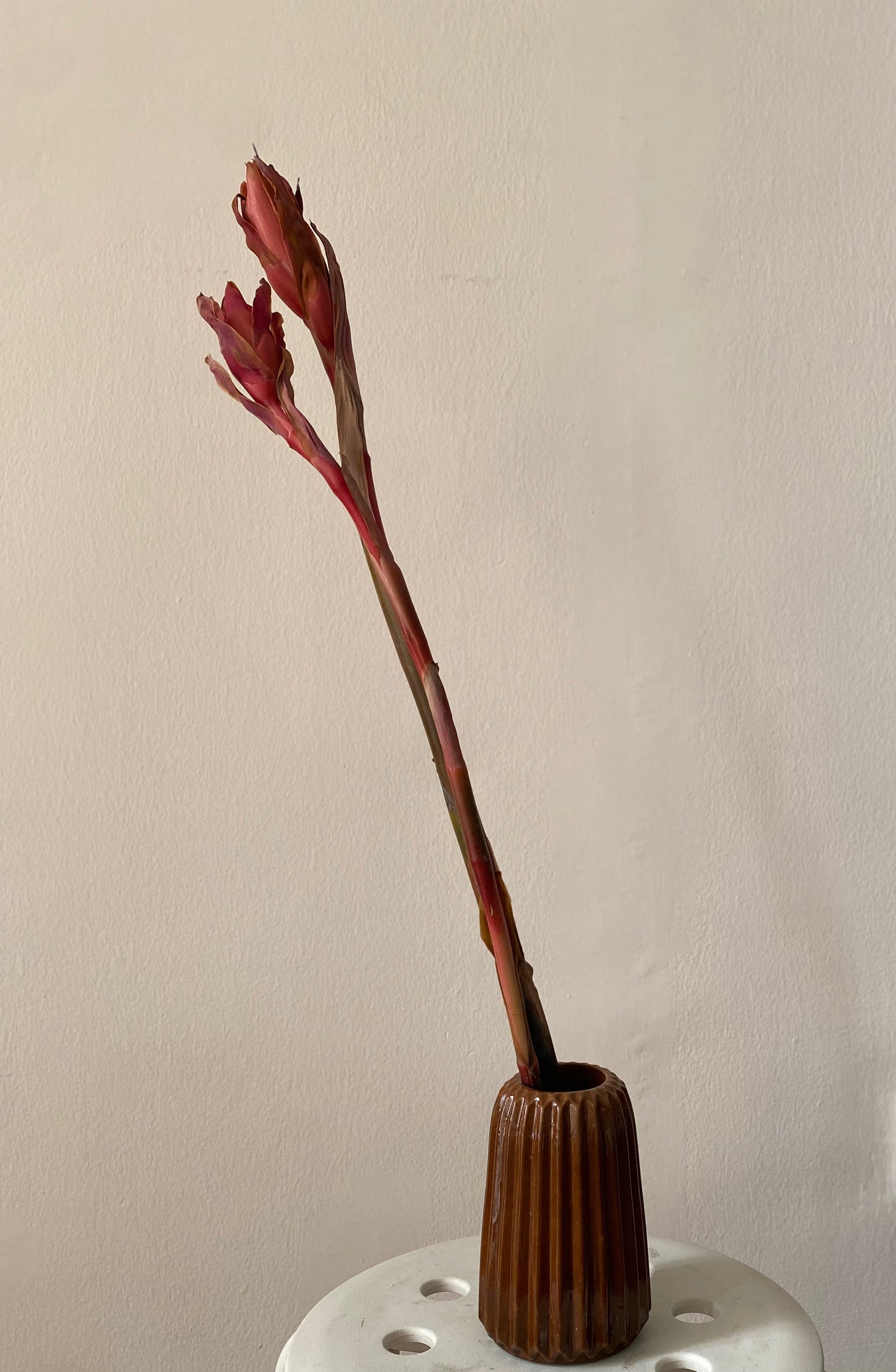 Ribbed Vases