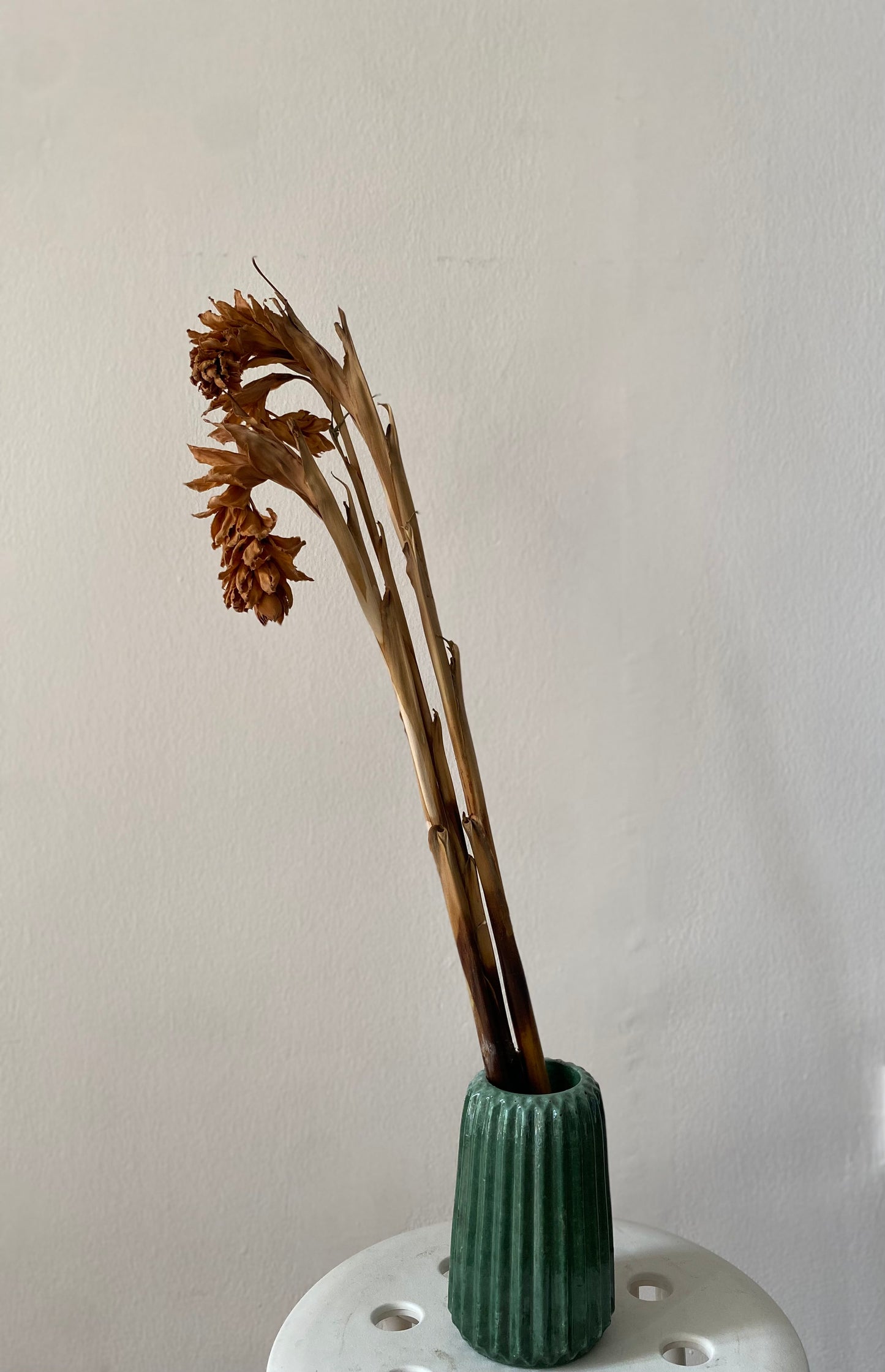 Ribbed Vases